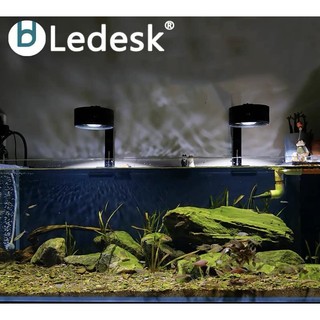 Đèn thủy sinh Ledesk (72W, 50W, 30W) cao cấp cho bể cá cảnh Biotope