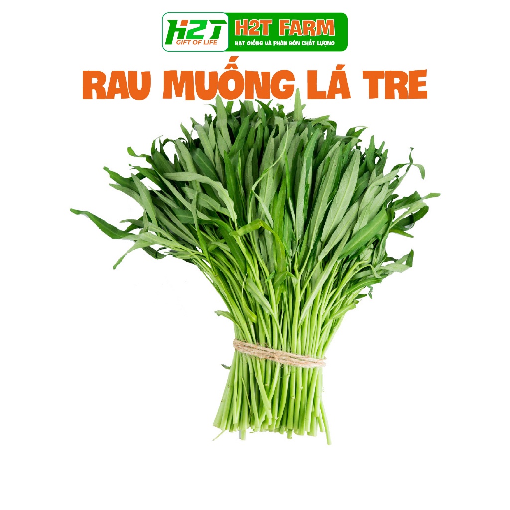Hạt giống rau muống lá tre 10g - h2t farm | Shopee Việt Nam