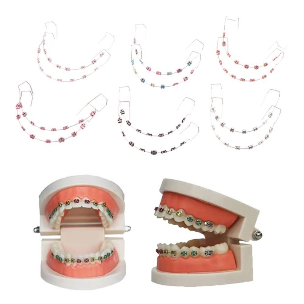 ASEGAID 1 cặp Trang trí răng tạm thời, với dây kim loại Trang trí nha khoa Dây buộc dây chằng chỉnh nha, Chất liệu nha khoa Chân đế giả Niềng răng đầy màu sắc Giá đỡ kim loại Răng