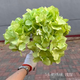 Đầu hoa cẩm tú cầu Malloca bông nhiều nhánh lớn hoa nghệ thuật đám cưới nhà bó hoa trang trí hoa giả hoa lụa CEVERIA