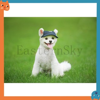 Nón Lưỡi Trai Vải Canvas 12 Kiểu Cho Thú Cưng