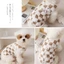 『 HiPiDog 』 Quần áo cho chó Áo len có mũ trùm đầu Trang phục cho chó Thú cưng Quần áo dễ thương nhung hai cánh