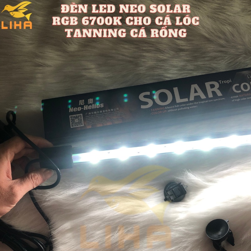[HỎA TỐC] Đèn Led NEO-HELIOS SOLAR 6700K RGB Cho Cá Rồng Cá Lóc - Led ...