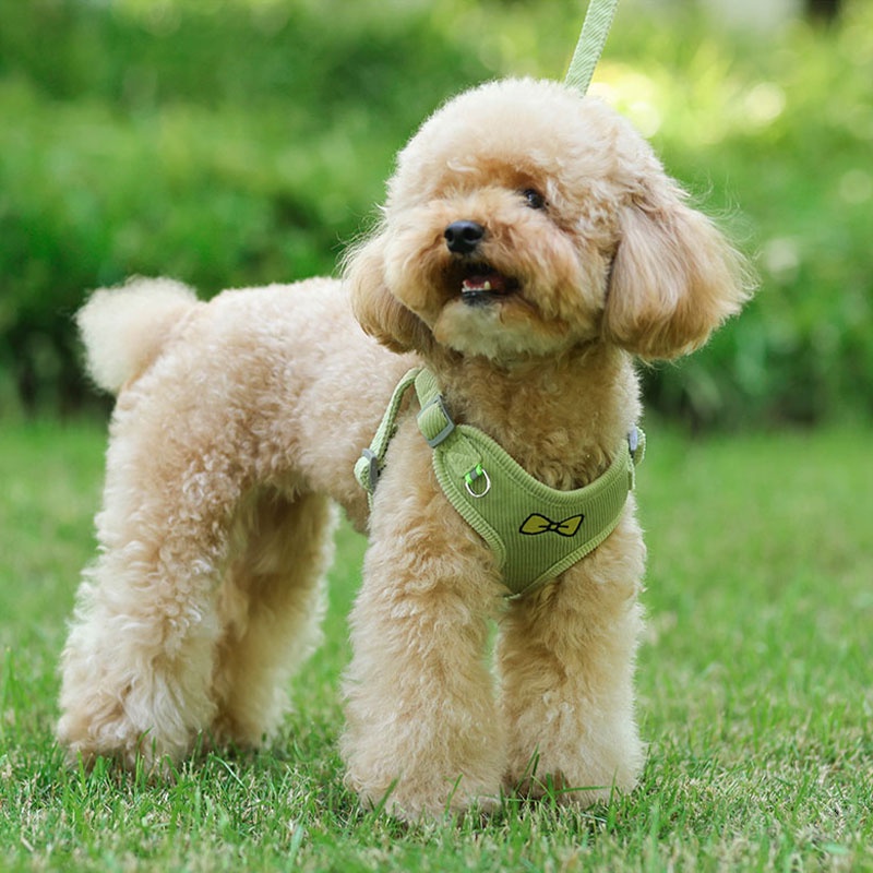 HamshMoc Bộ dây nịt và dây xích cá tính Áo Vest chó có thể điều chỉnh Dây xích bền mềm mại có tay cầm thoải mái cho chó nhỏ vừa lớn đi bộ