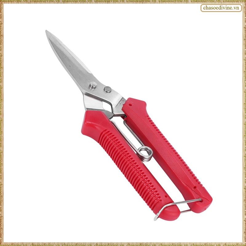 [K O G X] Kéo cắt tỉa tay làm vườn Kéo cắt tỉa cắt tỉa Micro-Tip Cắt tỉa lá Tông đơ cắt hoa thẳng Kéo cho cây