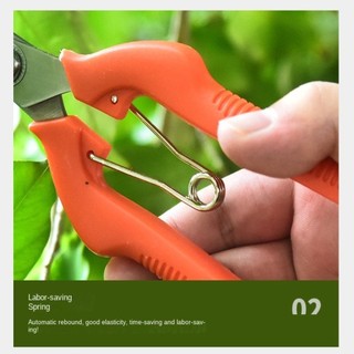 MISTY Kéo cắt tỉa vườn, Dụng cụ cầm tay bằng thép không gỉ Miếng dán rau củ, Dụng cụ làm vườn mỏng Kéo cây cảnh