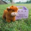 YOLOGO Highland Cow Legend Plushie, Đồ chơi sang trọng Fluffy Bull Fluffy Highland Cow Soft Toy, Búp bê động vật nhồi bông thực tế dễ thương