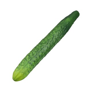 Mô phỏng giáo dục KIN Đồ chơi mô hình dưa chuột Aubergine dành cho trẻ em và người yêu thích