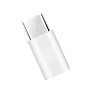 Bộ chuyển đổi sạc truyền dữ liệu Mini USB Female sang Type-C Male