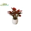 NRL 1 Nhà Búp Bê Mô Hình Cây Xanh Chậu Phong Cảnh Ngoài Trời Giường Hoa