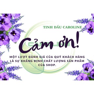 Tinh Dầu Tràm Huế thiên nhiên CAROLINE Dung Tích 10ml, nhỏ gọn, tiện lợi, khử mùi đa năng