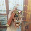 HT3 Năm Đêm Tại Freddy 's Móc Khóa Túi Dễ Thương Mặt Dây Chuyền Anime Xe Móc Khóa Hoạt Hình Móc Chìa Khóa Quà Tặng Cho Trẻ Em Kinh Dị Hallowe