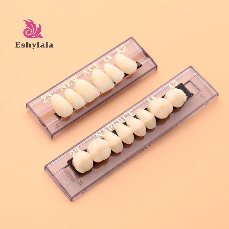 168 CÁI / 6 Bộ Răng Polymer Tổng Hợp Răng Hàm Nhựa [MỚI]