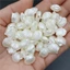20 Chiếc Vỏ Trái Tim Hạt Mặt Dây Chuyền Giả Ngọc Trai Ngôi Sao Acrylic Trắng Cho DIY Vòng Tay Vòng Cổ Trang Sức Làm Tình Yêu Bông Tai Phụ Kiện