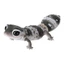 Hàng có sẵn Bandai Fat Tail Gecko Oreo Straight Line Zulu Whitening Trendy Play Trang trí viên nang Đồ chơi mô phỏng động vật ZVFY