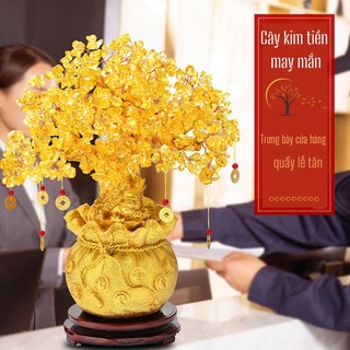 Cây Kim Tiền Myd.23 Tài Lộc Phong Thủy May Mắn Đá Thạch Anh Phát Tài