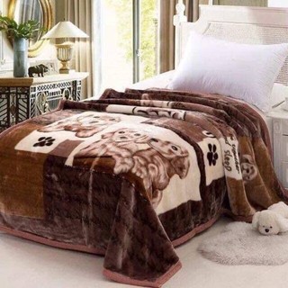 [HCM SẴN KHO] Chăn tuyết nhung (160 x 200 cm) 2 lớp - MẪU NGẪU NHIÊN - Chăn Ngủ Văn Phòng, Chăn Nhung- nhiều mẫu