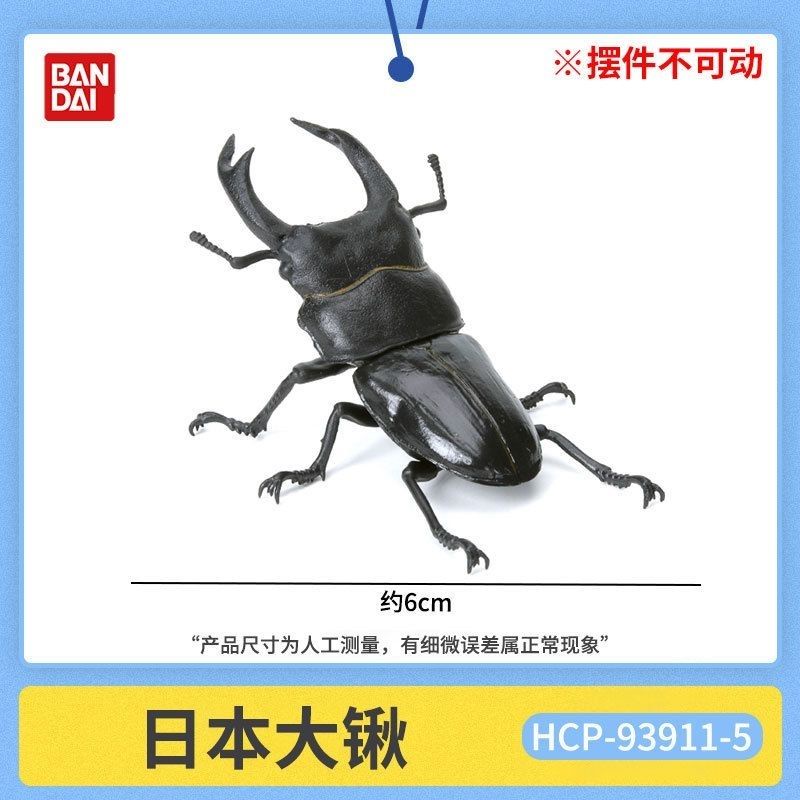 [BTF] Mô Hình Sách Gashapon MINI Côn Trùng Bọ Cánh Cứng 3 Stag Beetle KRTV