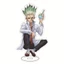 HT2 Dr.STONE Hình Đồ Chơi Mô Hình Acrylic Đứng Anime Tấm Giá Đỡ Chrome Senkuu Ishigami Trang Trí Nhà Bộ Sưu Tập Quà Tặng TH2