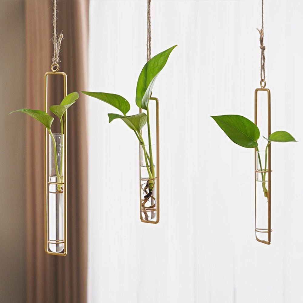 Bình ống nghiệm JUNYUE88US, Bình thủy tinh treo tường trong suốt treo tường, Hộp trồng cây bằng thủy tinh Bắc Âu Bình thủy tinh dày Cây xanh