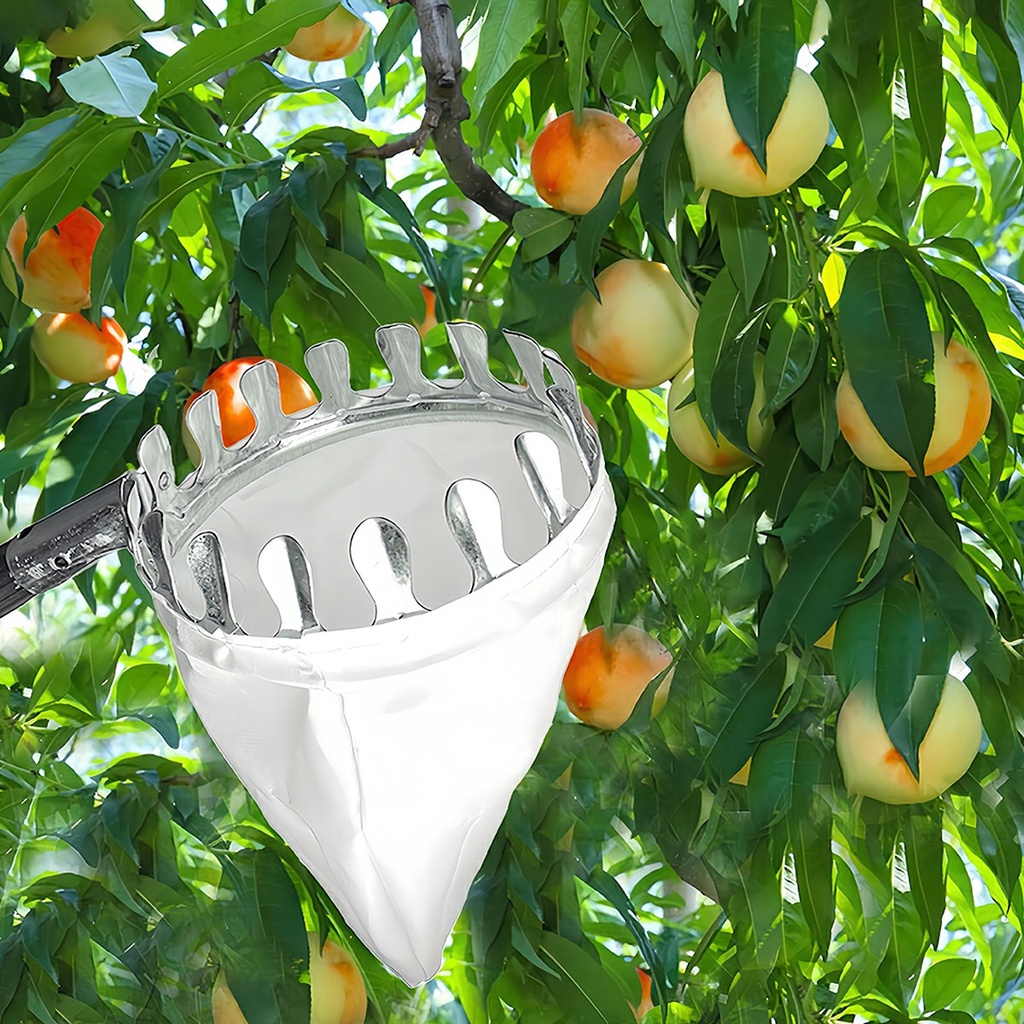 Vợt Đầu Sào Hái Trái Cây Trên Cao Đa Năng Kèm Túi Vải - Dụng Cụ Hái Hoa Quả Thép Siêu Bền Đẹp