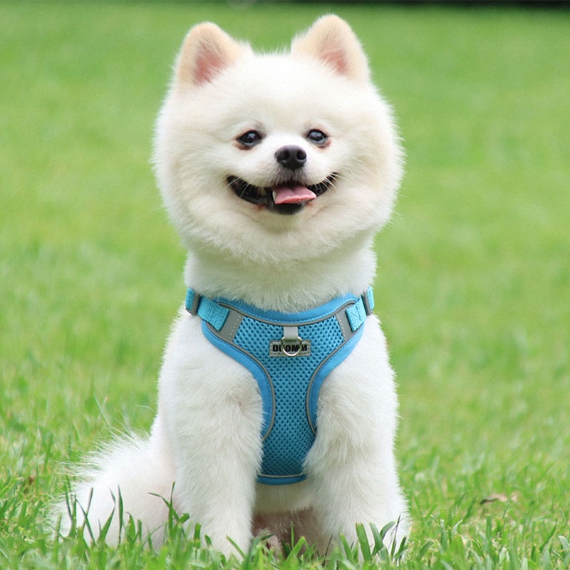 HamshMoc Bộ dây nịt và dây xích có thể điều chỉnh cho chó phản quang Dây dẫn bền có tay cầm mềm cho chó nhỏ vừa
