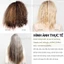 Set phục hồi tóc Olaplex No.3 - No.8 Sephora Beauty Insider ( New )
