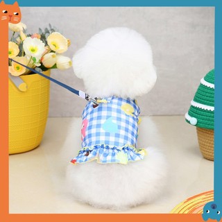 Thú Cưng Kẹo Màu Ngực Lưng Quần Áo Thú Cưng Chó Ngực Lưng Teddy Tank Top Quần Áo Mèo Quần Áo Thú Cưng