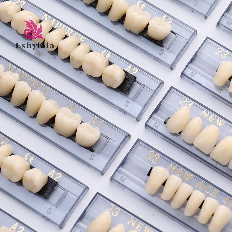168 CÁI / 6 Bộ Răng Polymer Tổng Hợp Răng Hàm Nhựa [MỚI]