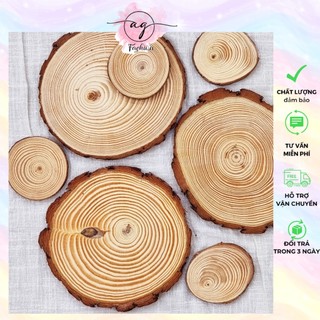 [Phụ kiện làm cây thông Noel] Lát gỗ, khoanh gỗ trang trí nhiều kích thước dùng để trang trí, phụ kiện chụp ảnh AG