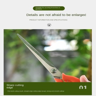 Jkdesign Kéo cắt tỉa vườn, Dụng cụ làm vườn mỏng Miếng dán rau củ, Dụng cụ cầm tay chuyên nghiệp Kéo cây cảnh bằng thép không gỉ