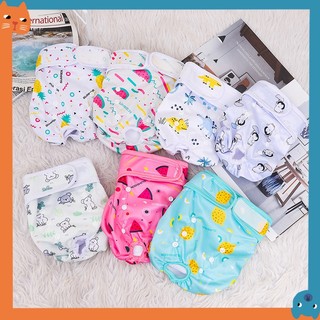 Mới Quần Lót Sinh Lý Cho Thú Cưng