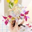 Kẹp tóc XGB Dễ thương và sành điệu với cối xay gió xoay bằng nhựa Barrettes cho các bữa tiệc