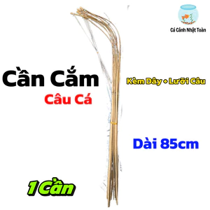 Combo 10 Cần Cắm Câu Cá Lóc, Cá Đồng, trê, ếch, lươn Dài 85cm