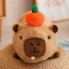 BH2 40cm Dễ Thương Capybara Sang Trọng Búp Bê Quà Tặng Cho Bé Gái Ném Gối Trang Trí Nhà Thổi Bong Bóng Đồ Chơi Nhồi Bông Cho Trẻ Em HB2