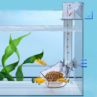 Ống Cho Cá Ăn Bằng acrylic Trong Suốt Tiện Dụng