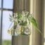 Bình thiên thần trong suốt DONOVANQQ, Hộp đựng thủy canh thủy canh thủy tinh Borosilicate DIY, Hình thiên thần thổi tay đẹp Cây bắt mắt Bình treo tường Phòng khách