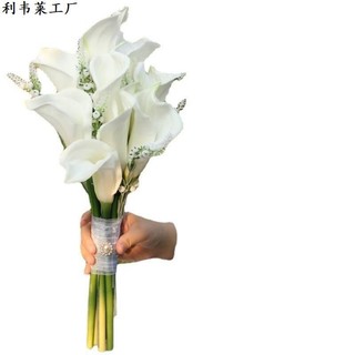 Bó hoa cầm tay cô dâu từ hoa tulip, rum trắng tinh khôi CEVEria