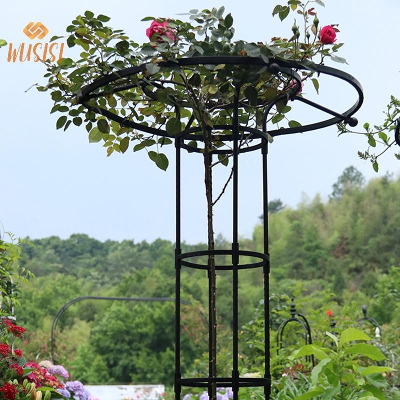[Wusisi] Giá đỡ leo cho cây, hỗ trợ DIY, chậu hoa, tháp dù, mới