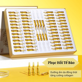 Bộ Tế Bào Gốc Phục Hồi Da Hư Tổn Giúp Da Mịn Màng Chống Nhăn Xoá Mờ Vết Thâm Giúp Da Trắng Mịn