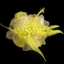 GAVESTO Nữ Corsage, Đính Hạt Lông Vũ Nghệ Thuật Lớn Trâm Cài Hoa, Màu Trơn Quần Áo Phụ Kiện Trang Sức