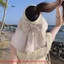 Mũ chống nắng mùa hè NICOLOO, Mũ ngư dân vành rộng chống tia cực tím, Màu trơn rỗng có khăn choàng có thể tháo rời Tấm che nắng đi biển du lịch
