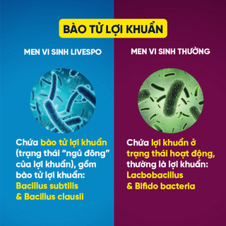 Men vi sinh chứa Bào tử lợi khuẩn dùg cho Viêm Đại Tràng, Tiêu chảy, Táo bón - LiveSpo Colon(10 ống)