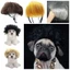 DELMER Bộ Tóc Giả Thú Cưng, Đạo Cụ Cosplay Chụp Ảnh Chó Mèo Đeo Chéo Tóc, Đạo Cụ Vui Nhộn DIY Mũ Halloowen Giáng Sinh Prank Đồ Dùng Cho Thú Cưng