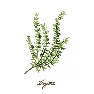 Cỏ Xạ Hương 50g - 100g | Thyme Phù Hợp Với Tất Cả Các Loại Thịt, Rau, Thịt Hầm, Súp, độn, Bánh Mì Thịt, ướp Và Pate