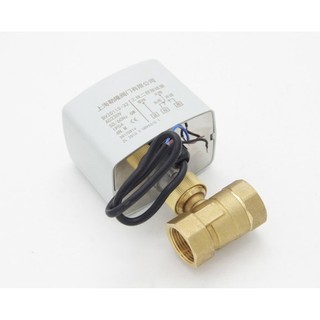Ac220v 2 Chiều 3 Dây Van Điều Khiển Động Cơ Điện Với Công Tắc 3 Dây