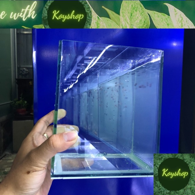 ( Giao hàng toàn quốc ) Hồ kính mini , hồ betta , keo betta , hồ show ...