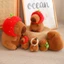 Gấu bông Capybara siêu mềm Búp Bê Nhồi Bông Mềm Mại Đáng Yêu, Mô Phỏng Capybara