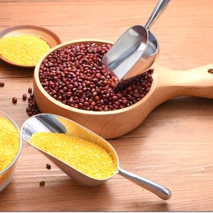 Muỗng Làm Đá Nhà Bếp Cho Máy Làm Đá Hạng Nặng Có Thể Tái Sử Dụng Muỗng Tiện Ích Cho Bột Kẹo