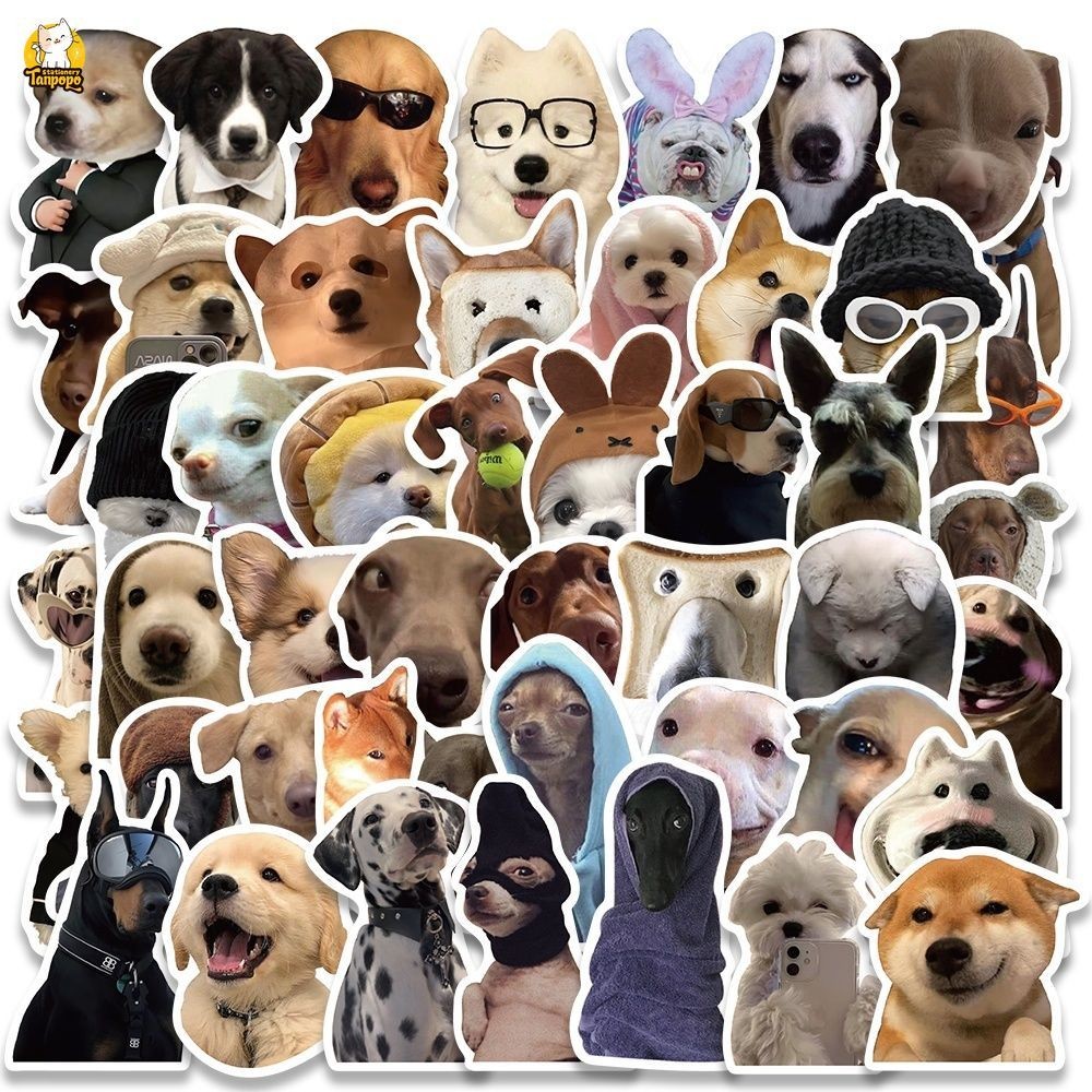 Set 10/20/50 cái sticker chống nước CHÓ DỄ THƯƠNG KHÔNG HỀ LÁO dán mũ ...
